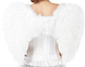 Large White Feather Wings<br />
Item #01039627